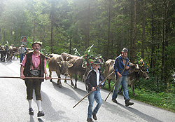  Ferienwohnung Hauser