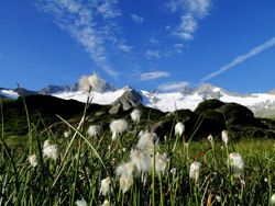 Naturpark